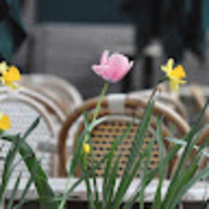 Meet your Posher, David